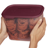 Pote Hermético 1 Touch Fresh Retangular Tupperware 4,4L Bordeaux